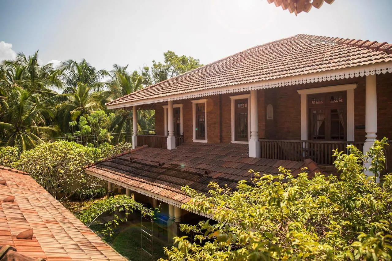 Villa Araliya Negombo