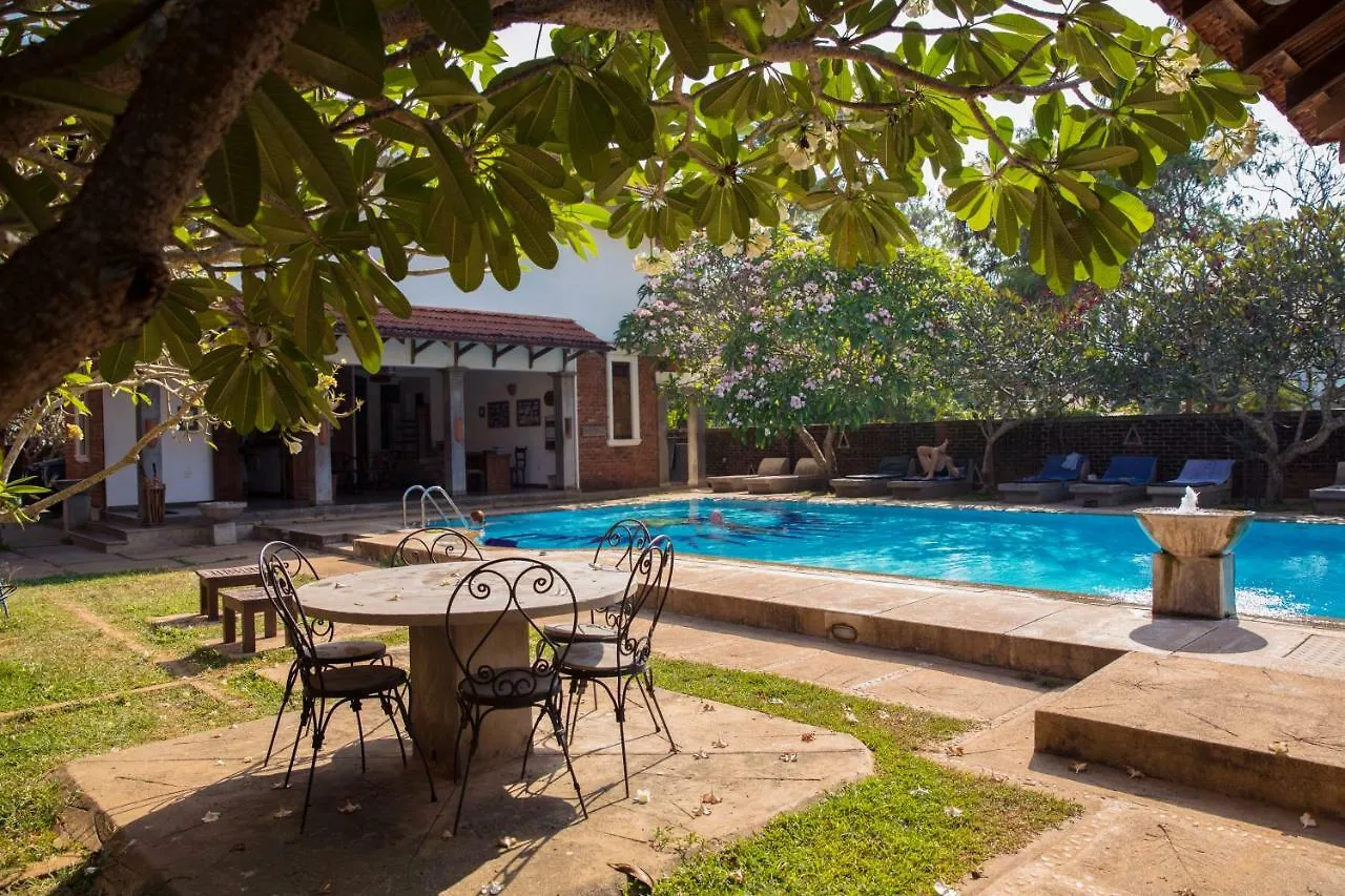 Villa Araliya Negombo